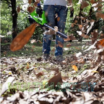 Воздуходувка Greenworks G40AB (без АКБ) картинка 7